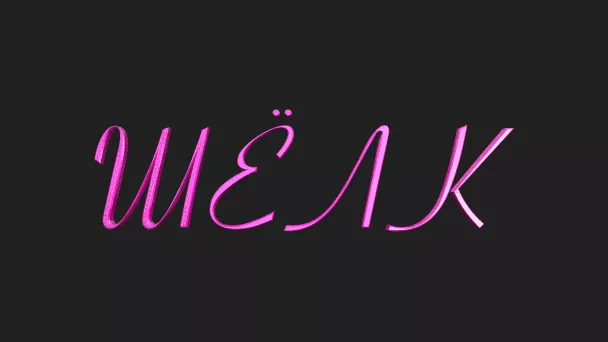 Шёлк